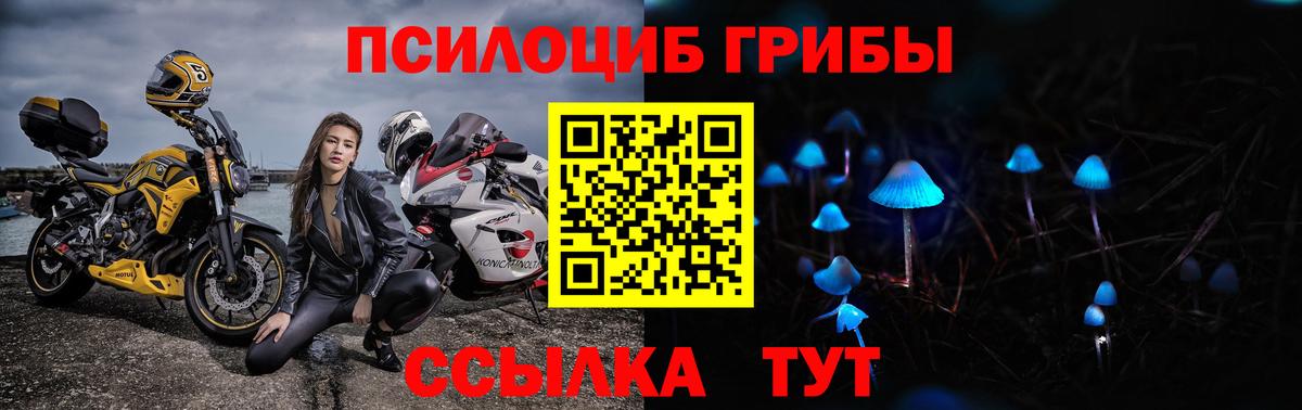 Шелехов  Галлюциногенные грибы Psilocybine cubensis  Вход с VPN 